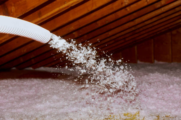 Best Professional Insulation Contractor  in Mcmechen, WV