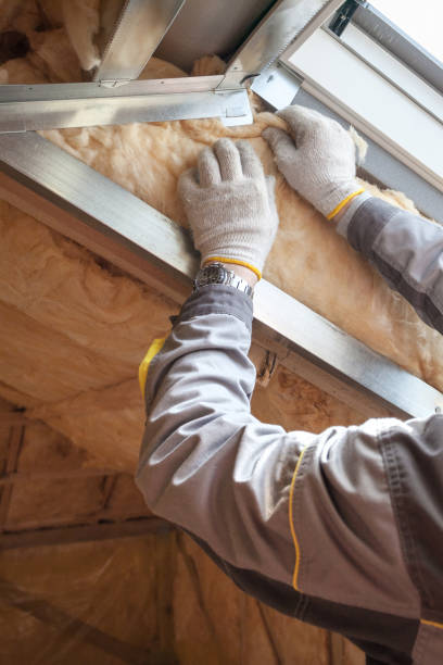 Best Insulation Replacement Services  in Mcmechen, WV