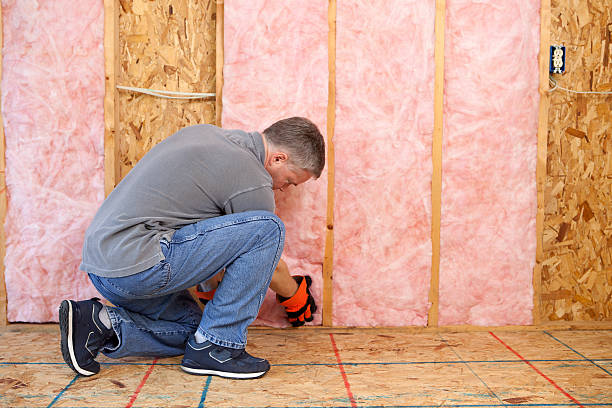 Best Soundproof Insulation Installation  in Mcmechen, WV