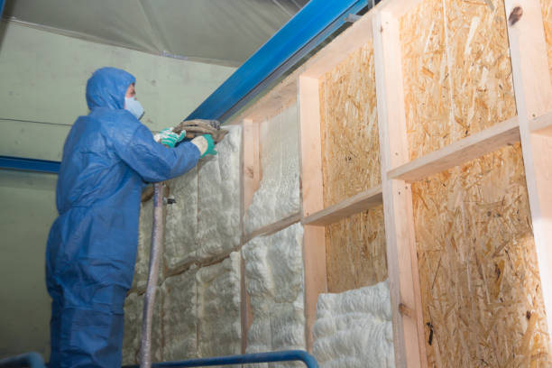 Best Garage Insulation Installation  in Mcmechen, WV