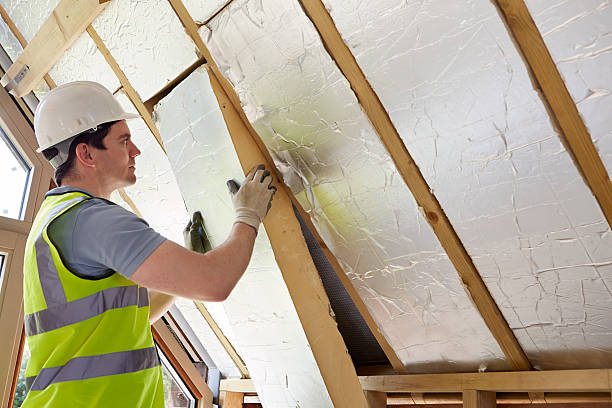 Best Soundproof Insulation Installation  in Mcmechen, WV