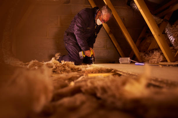 Best Residential Insulation Services  in Mcmechen, WV